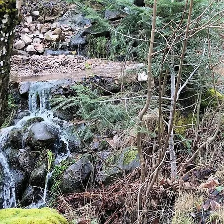 Les Mines - Hautes Vosges * Plainfaing